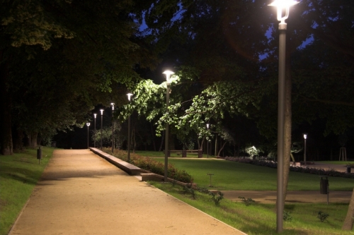 Ogr�d R�anka