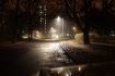 Park �eromskiego