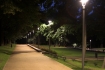 Ogr�d R�anka