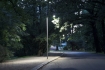 Park �eromskiego
